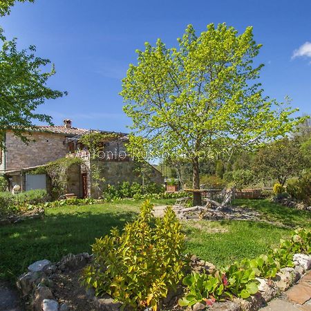 Ca'Novae - Tuscany Farmhouse Montieri Dış mekan fotoğraf