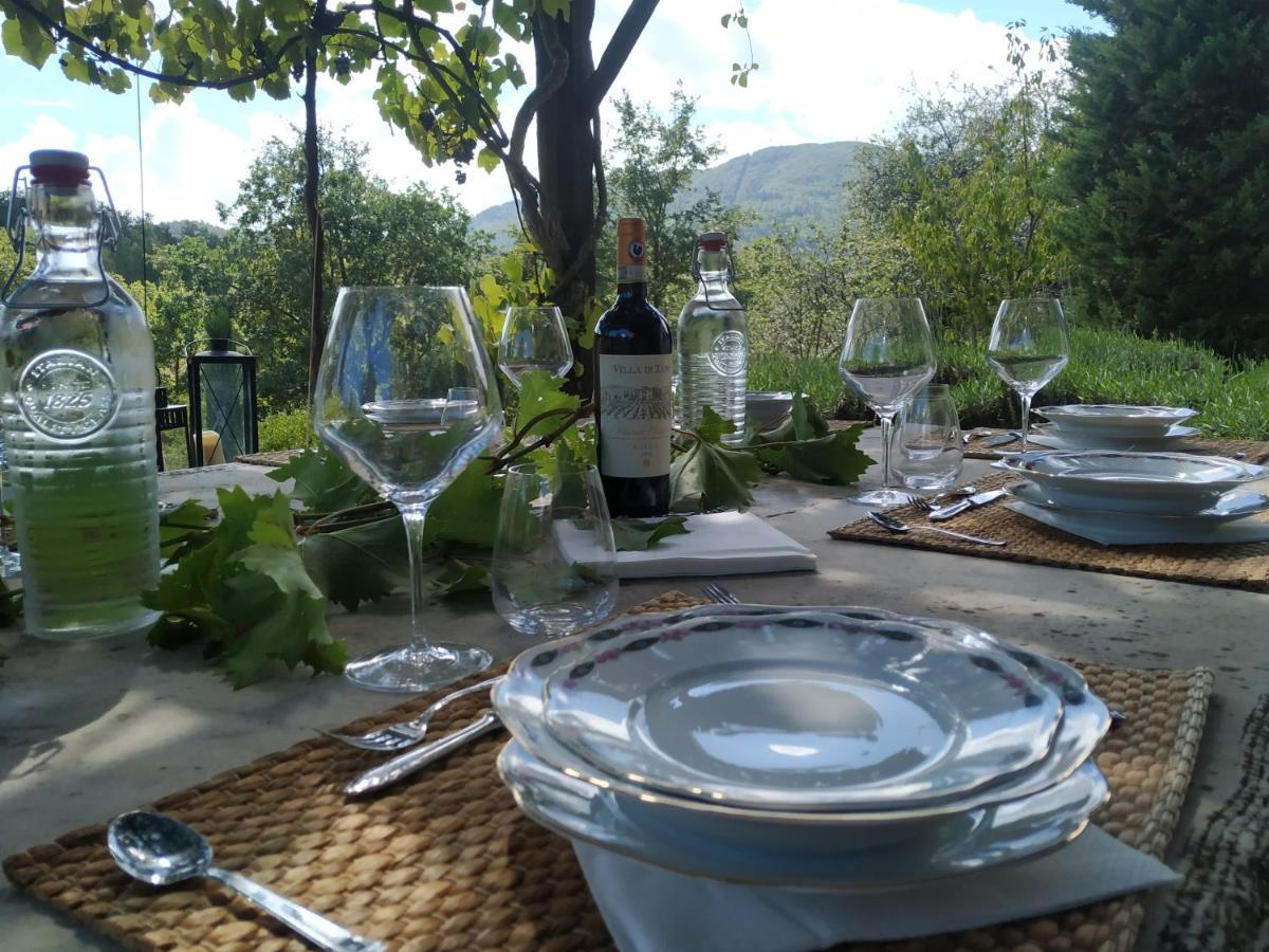 Ca'Novae - Tuscany Farmhouse Montieri Dış mekan fotoğraf