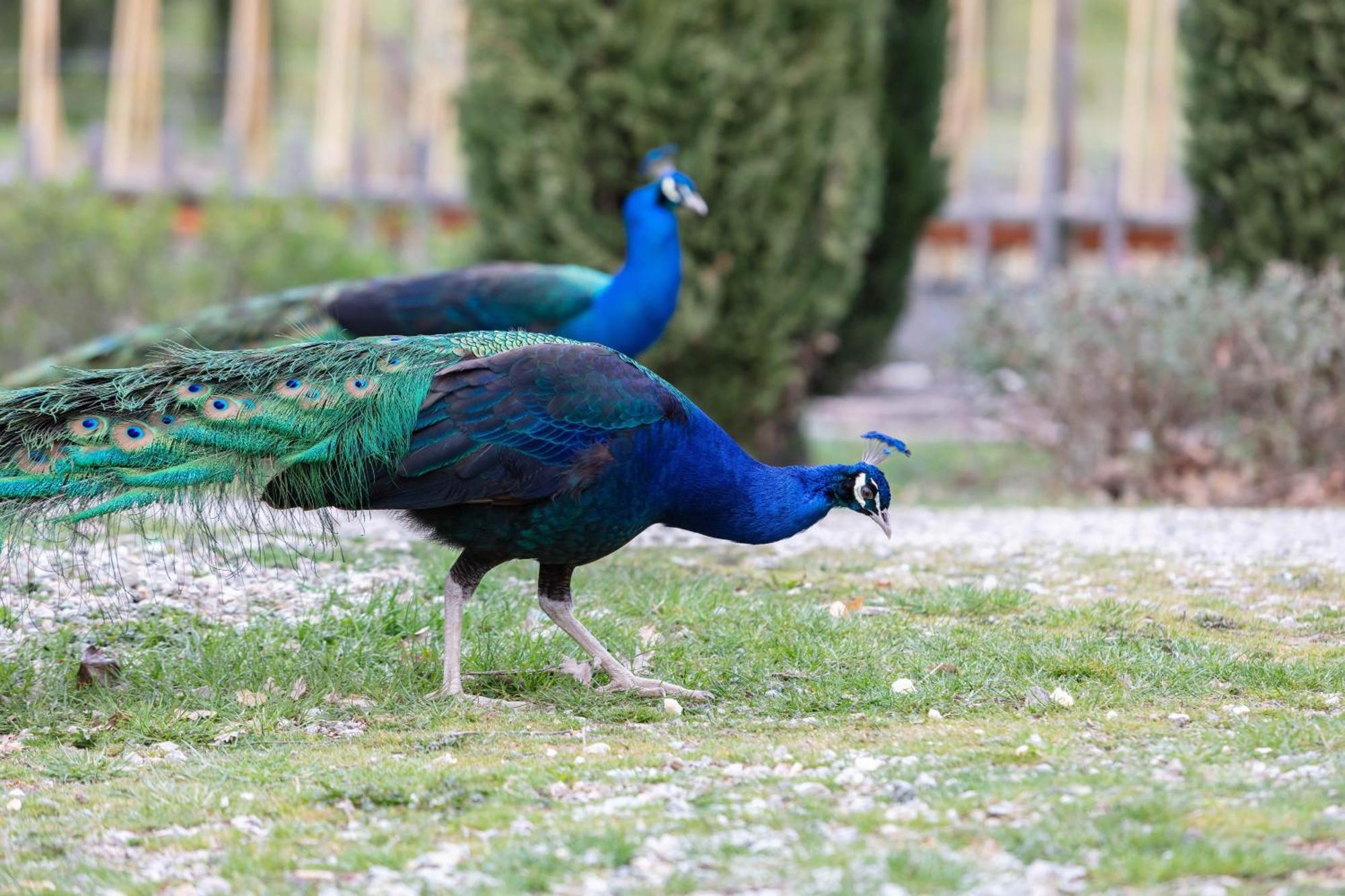 Ca'Novae - Tuscany Farmhouse Montieri Dış mekan fotoğraf